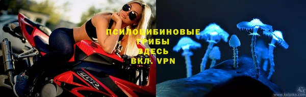 кристаллы Ельня