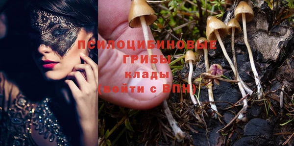 метадон Елизово