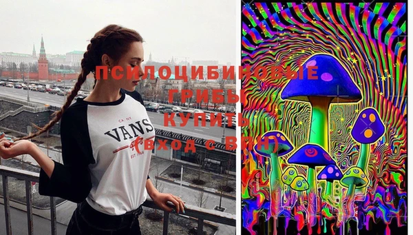 каннабис Гусиноозёрск