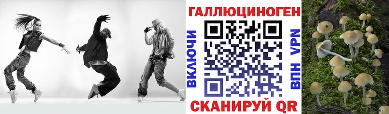 купить   Кирсанов  Галлюциногенные грибы Cubensis 